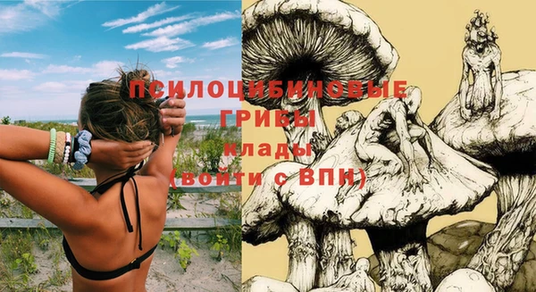 бошки Алексеевка