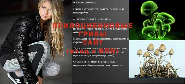 а пвп мука Алексин
