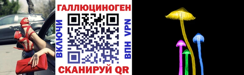магазин продажи Бакал Псилоцибиновые грибы прущие грибы
